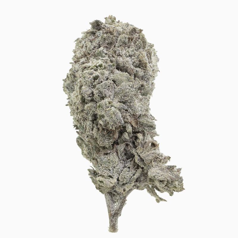Amnesia 24% Snow Buds "Frau Knolle" pro Gramm
