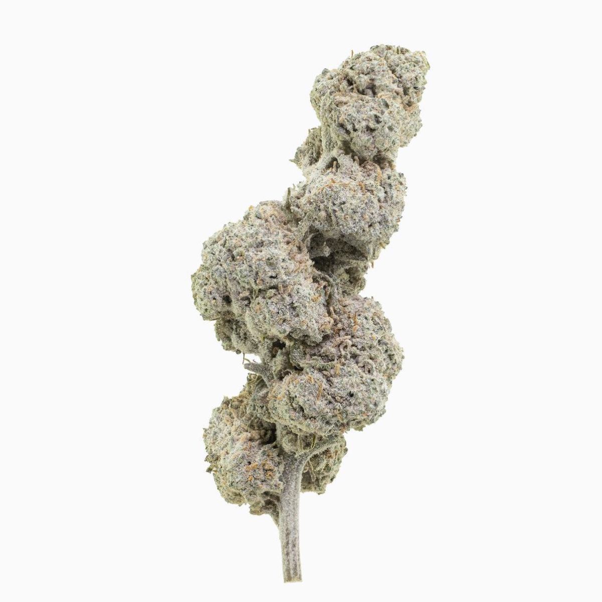 Super Lemon 14% Snow Buds "Frau Knolle" pro Gramm