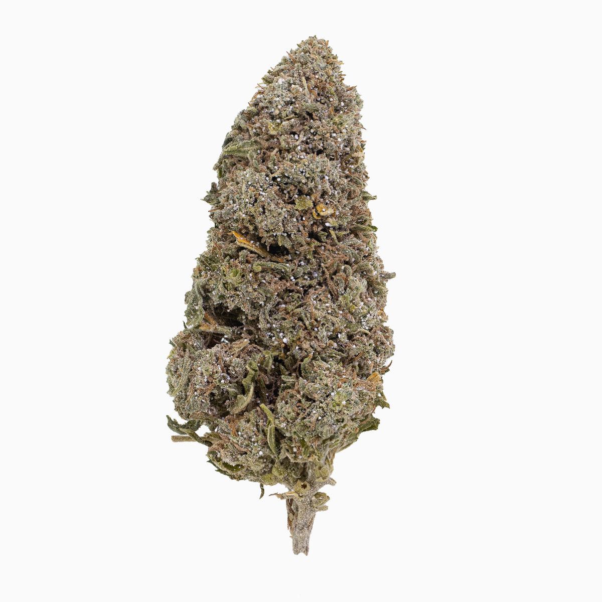 Bangkok Sativa 23% Snow Buds "Frau Knolle" pro Gramm