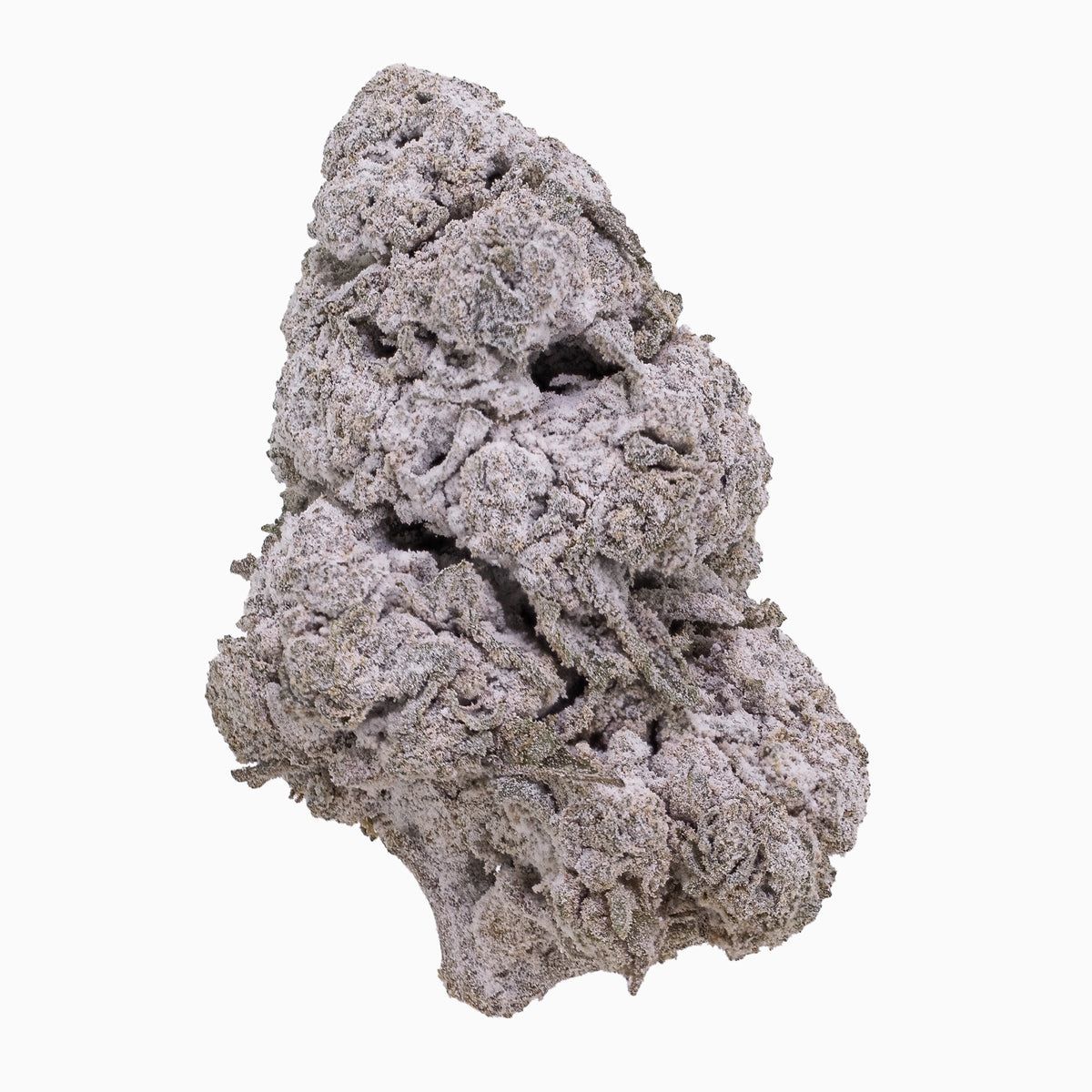 Critical Mass 25% Snow Buds "Frau Knolle" pro Gramm