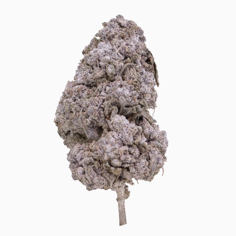 Purple Candy 24% Snow Buds "Frau Knolle" pro Gramm