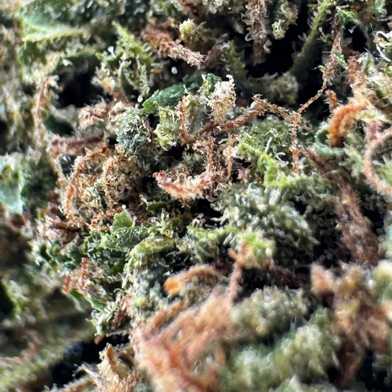 Lemon Cookies ''Frau Knolle'' CBD pro Gramm
