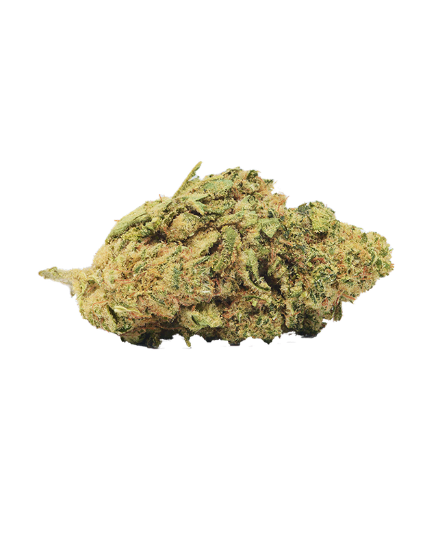 Girl Scout Cookies ''Frau Knolle'' CBD pro Gramm