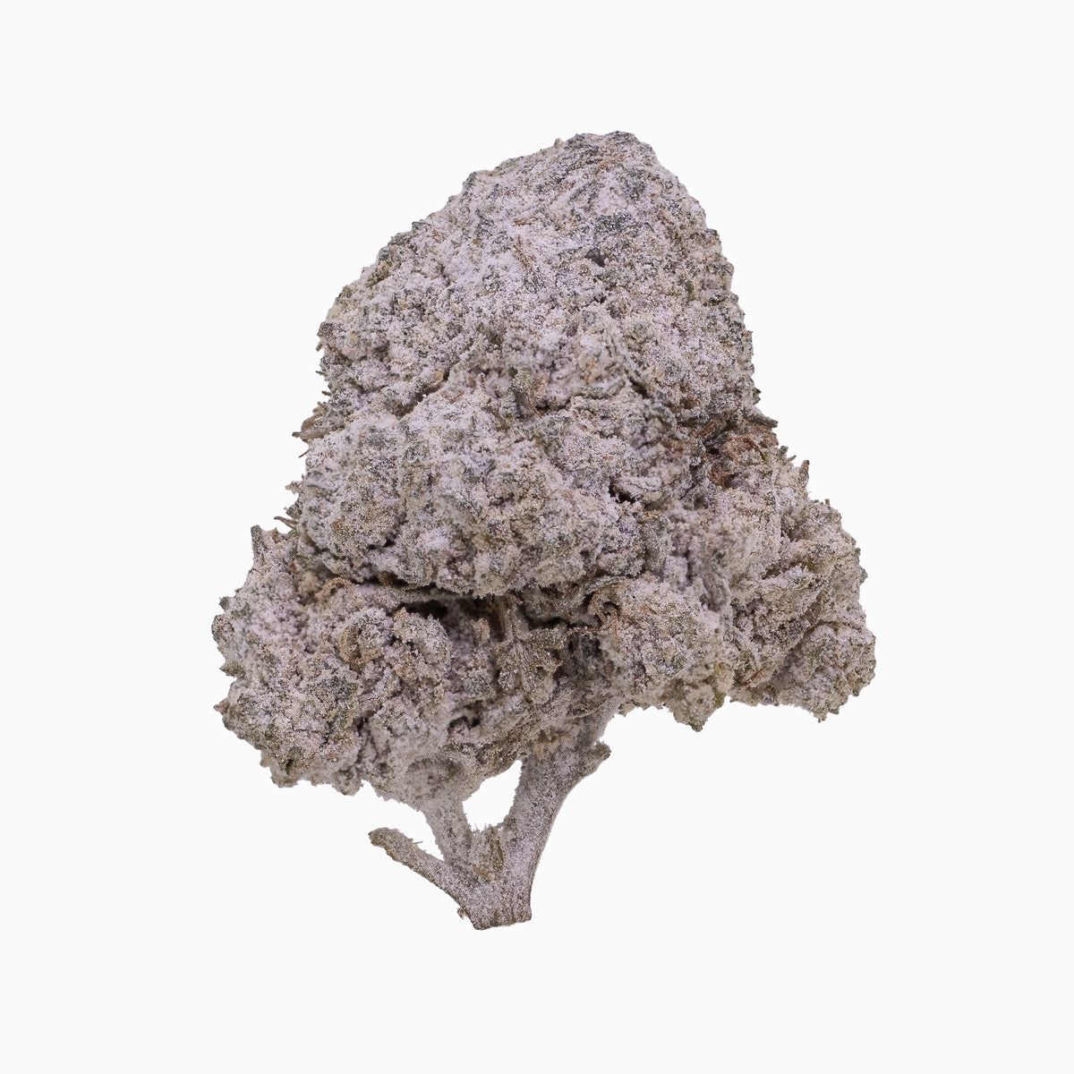 OG Kush 24% Snow Buds "Frau Knolle" pro Gramm