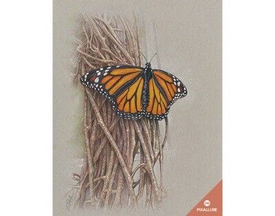 Butterfly on Vines Print