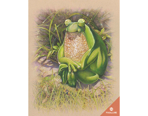 Frog Chill Puzzle