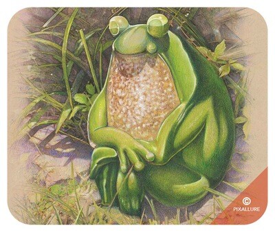 Frog Chill Mouse Pad