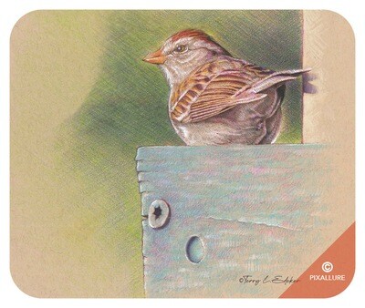 Sparrow in Birdhouse Mouse Pad