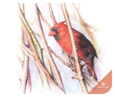 Cardinal Mouse Pad