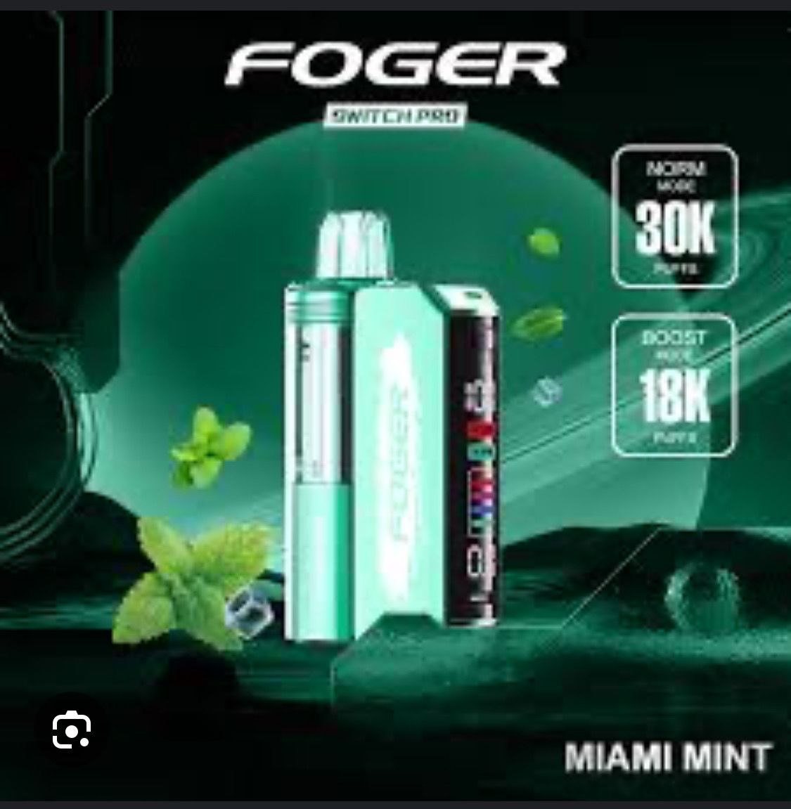 Foger Kit- Miami Mint