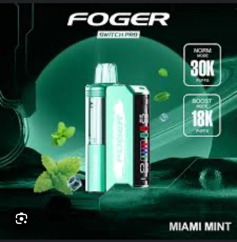 Foger Kit- Miami Mint