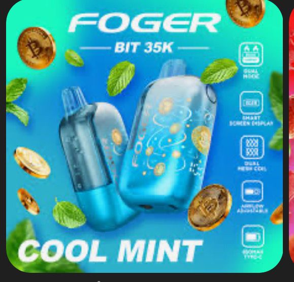 Foger Bit 35k Cool Mint