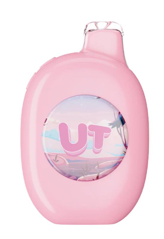 Flum UT Bar - Watermelon Sour Peach