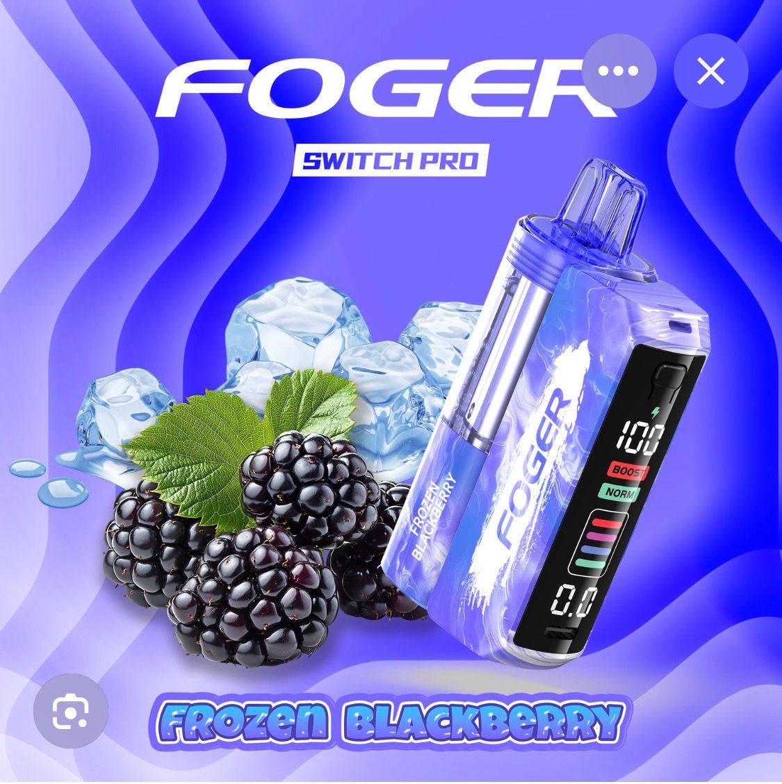 Foger Frozen Blackberry Kit
