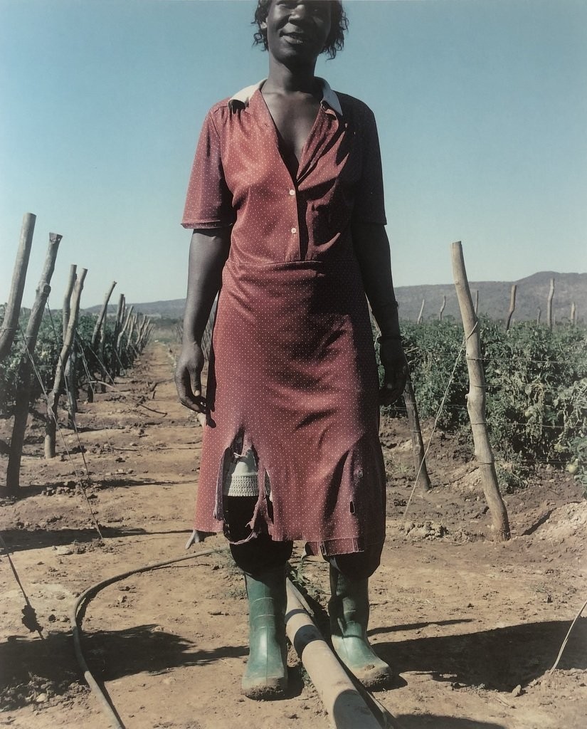 市場価格高騰中　THE FARM / JACKIE NICKERSON 写真集 市場価格高騰中 THE FARM / JACKIE NICKERSON 写真集 - メルカリ
