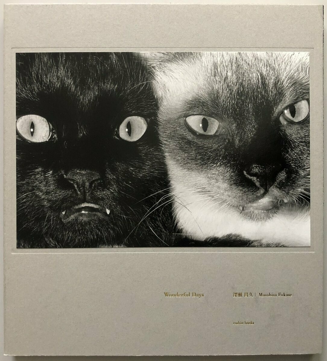 Masahisa Fukase Wonderful Days