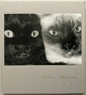 Masahisa Fukase Wonderful Days Masahisa Fukase Wonderful Days