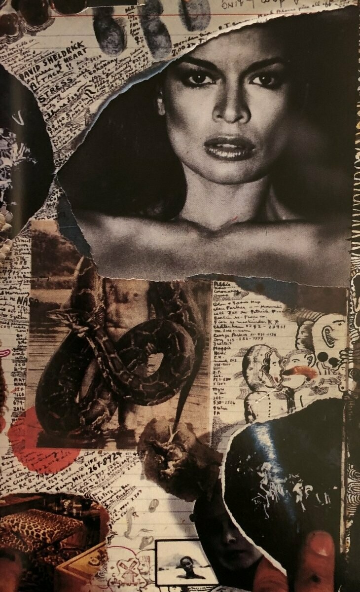 Peter Beard Diary