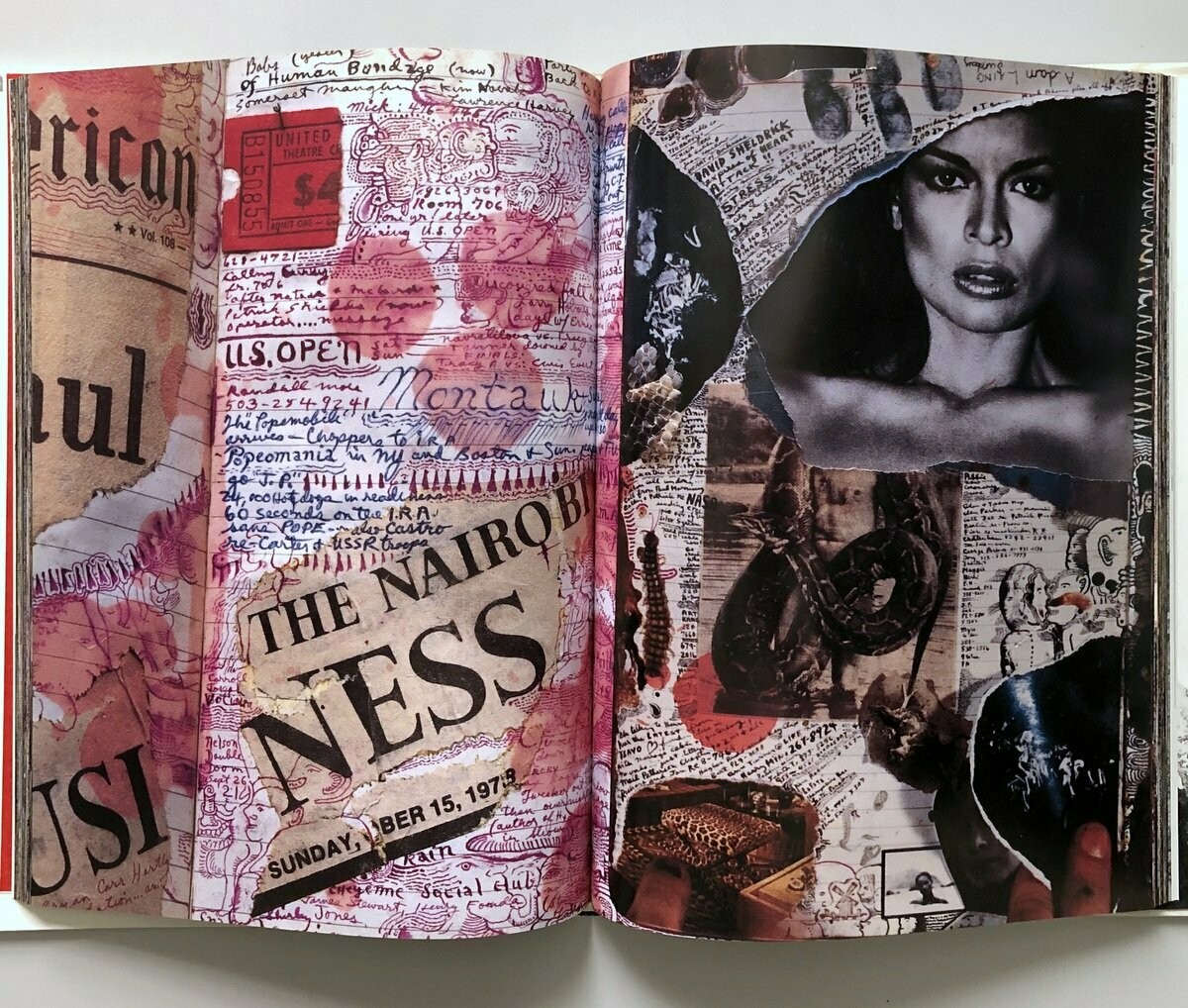 Peter Beard Diary Peter Beard Diary