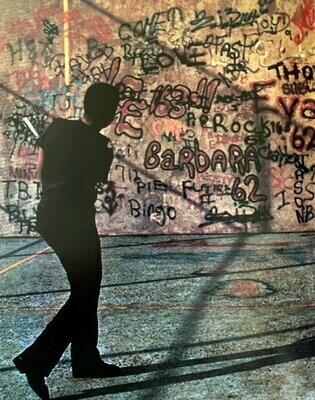 Amazon.co.jp: 洋書写真集 The Faith of Graffiti グラフィティ