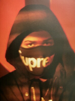 supreme david sims 写真集 supreme david sims 写真集 Supreme Photography Book David