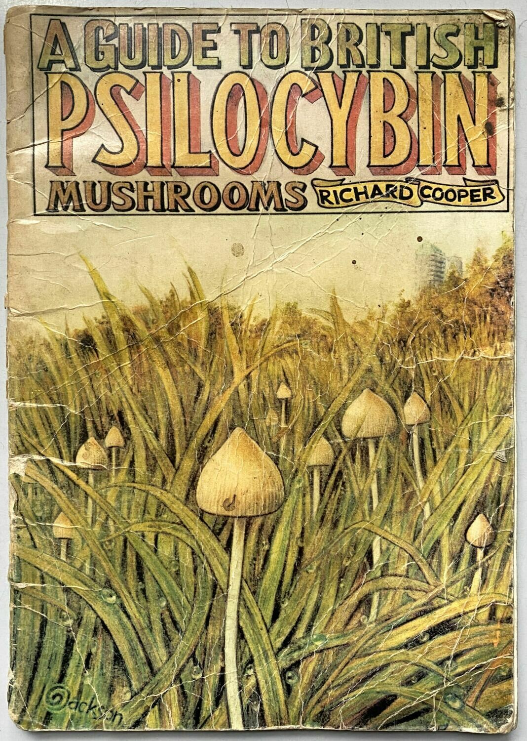 A Guide To British Psilocybin Mushrooms