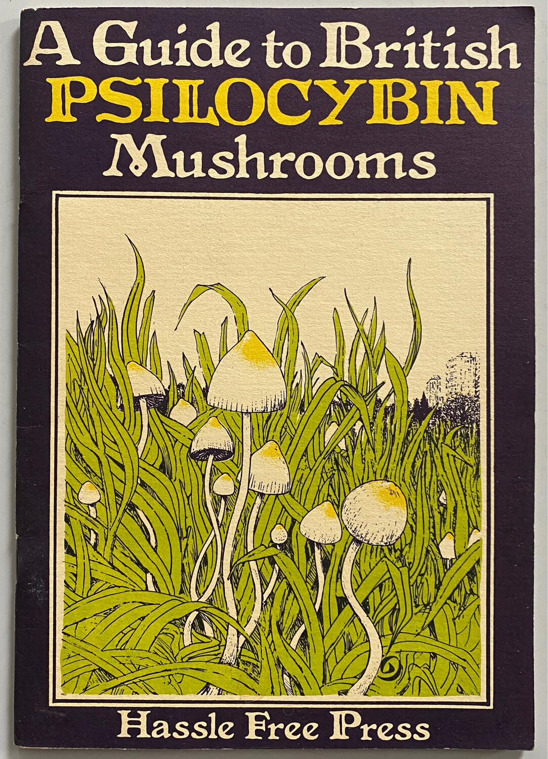 A Guide To British Psilocybin Mushrooms Hassle Free