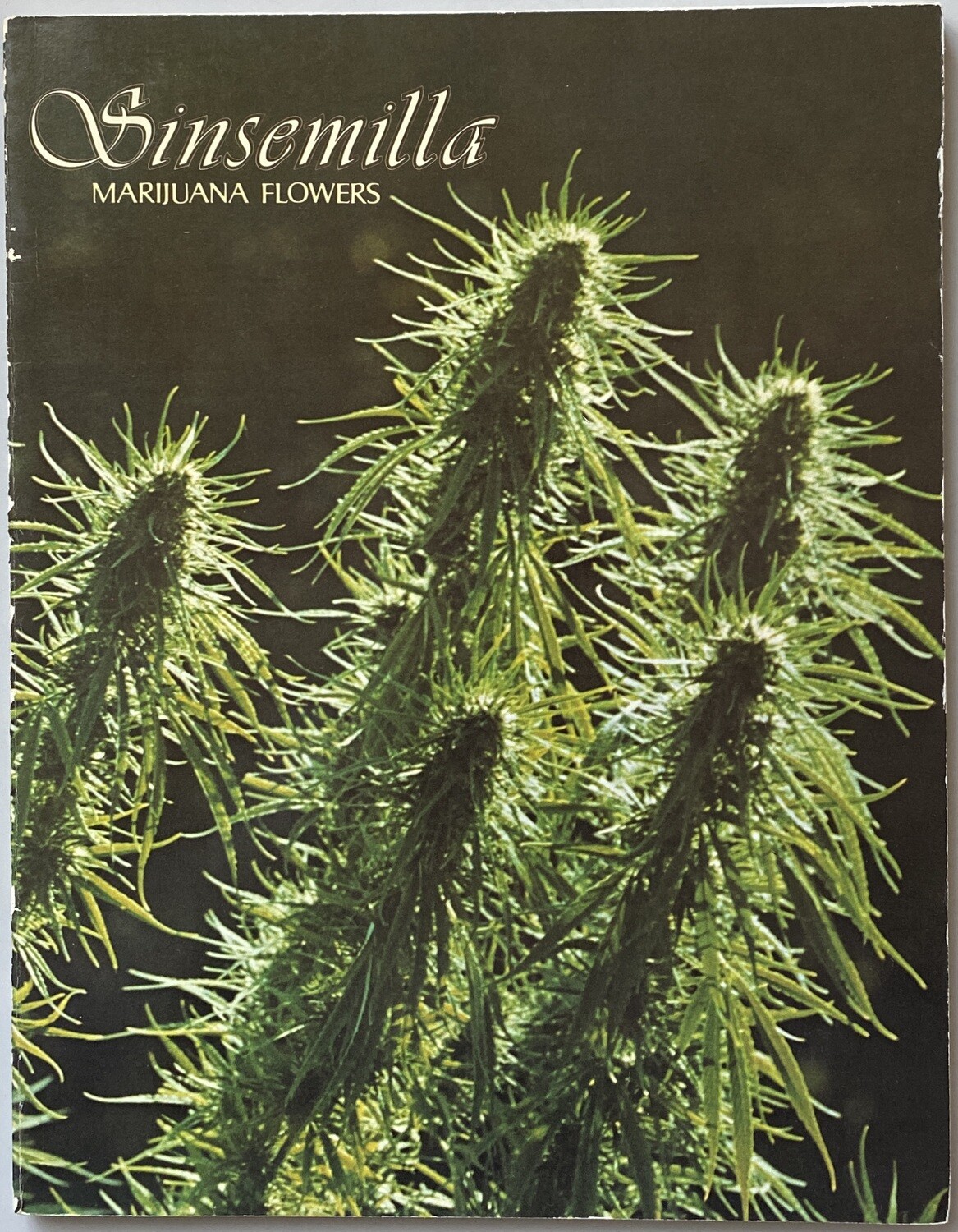 Sinsemilla Sinsemilla