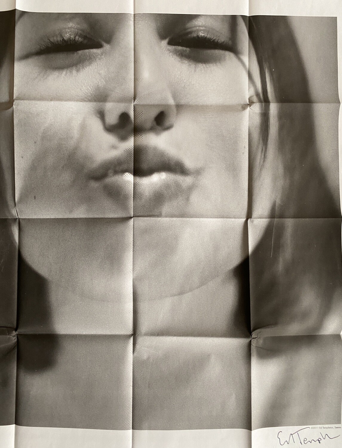 Teenage Kissers : Ed Templeton