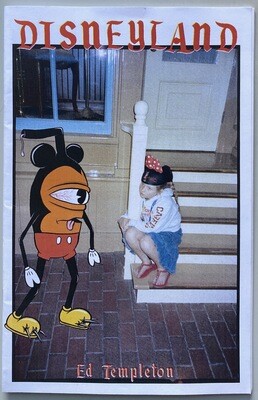 Ed Templeton Disneyland