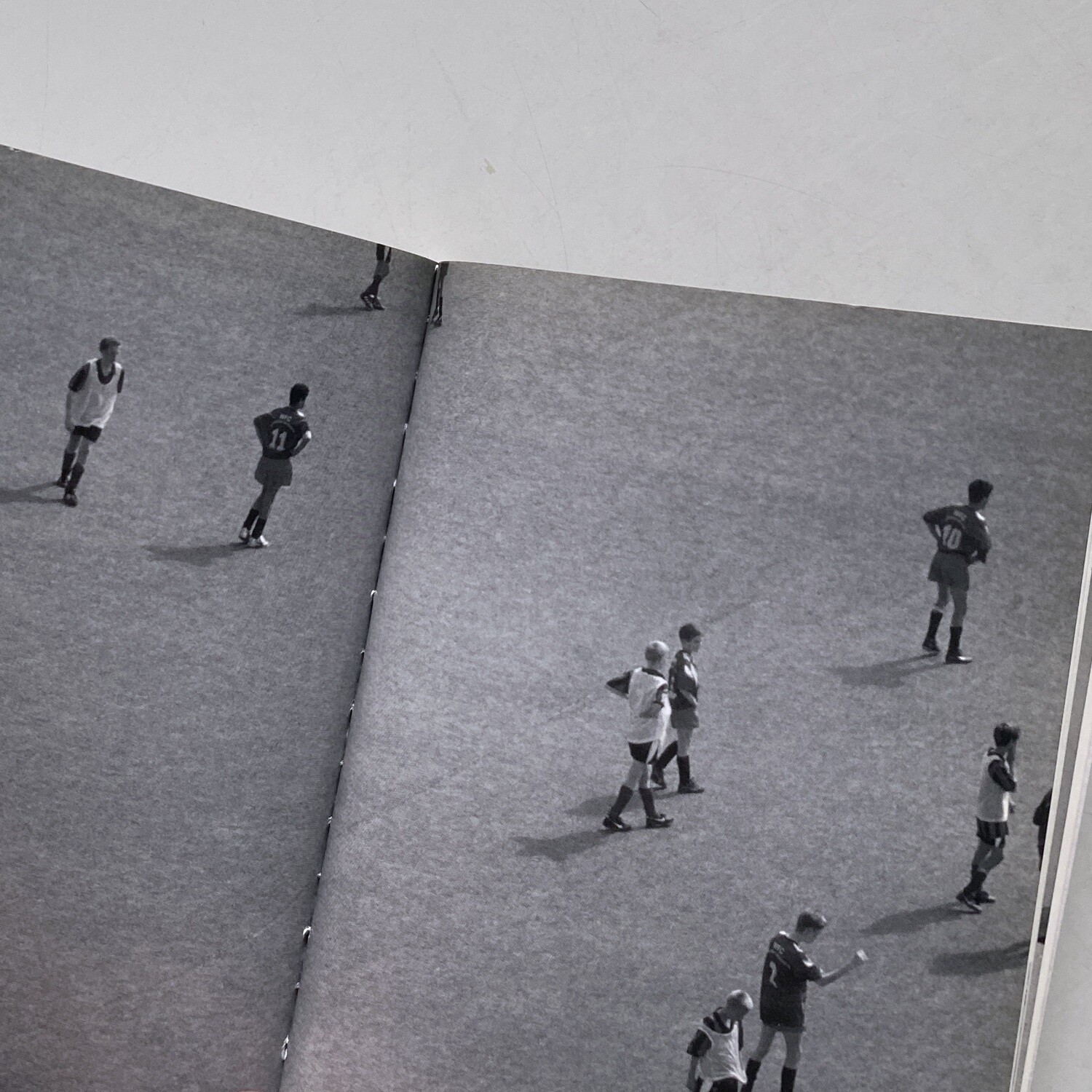 Mark Borthwick - Are plants People? - 1999