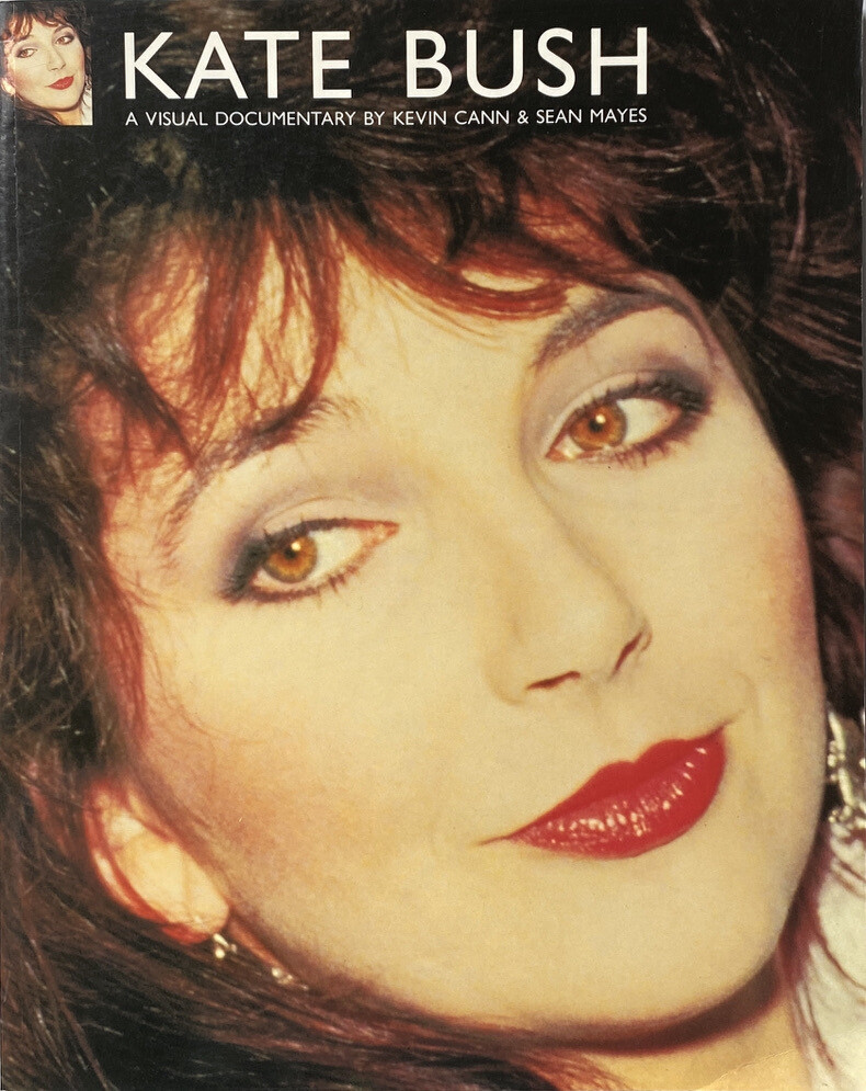 Kate Bush A Visual Documentry