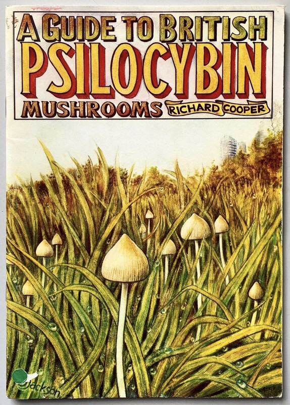 A Guide To British Psilocybin Mushrooms