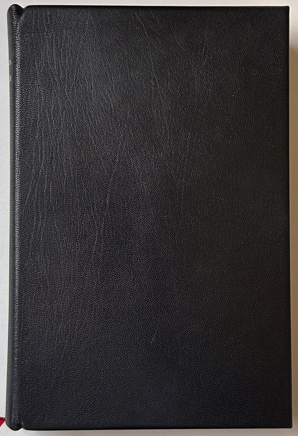 [SIGNED] MARTIN AMIS EXPERIENCE