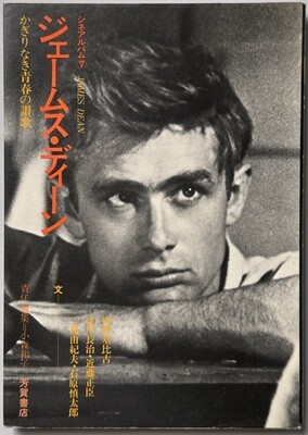 James Dean Icon Book