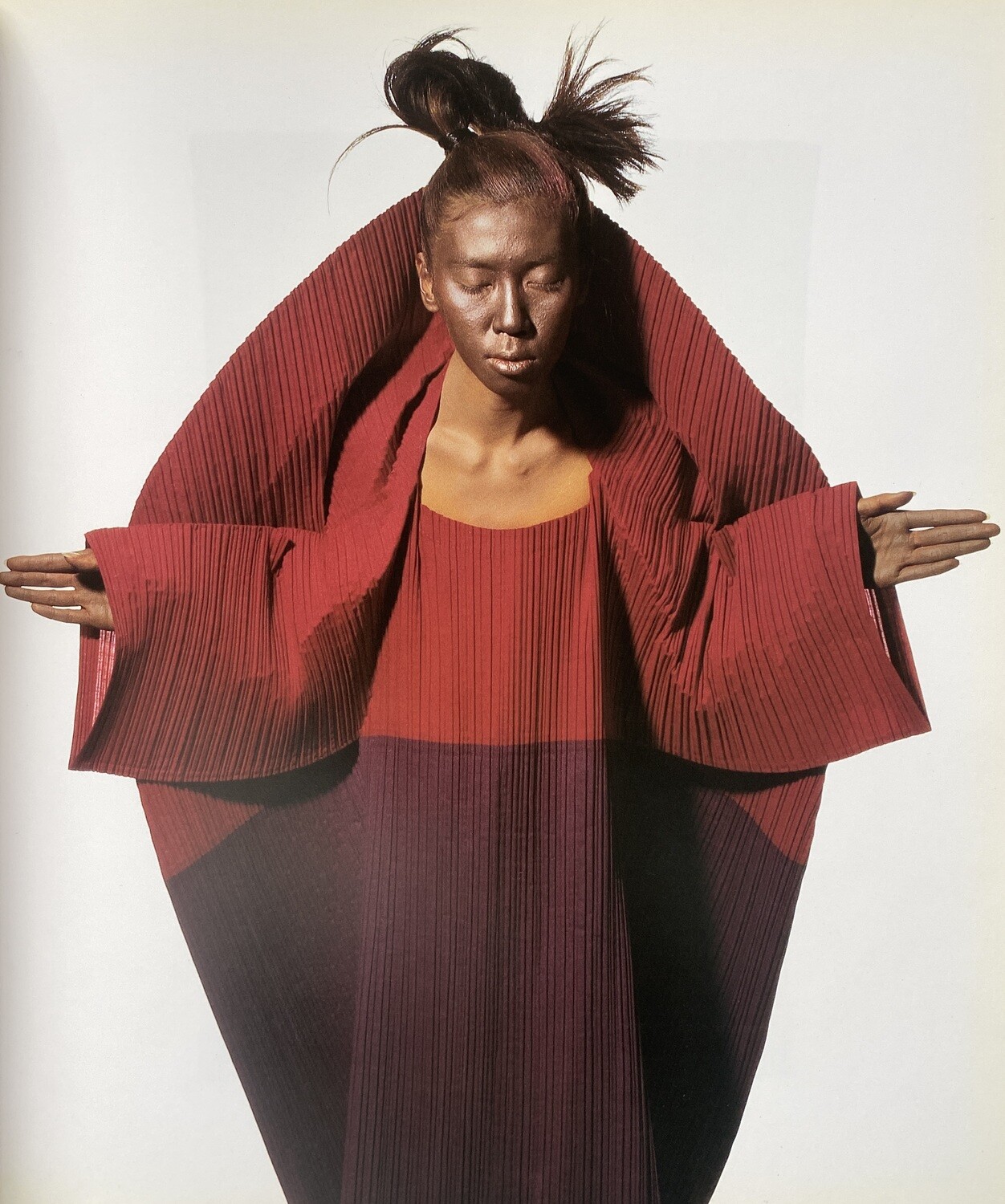 ISSEY MIYAKE BY IRVING PENN 1989 1993-95 イッセイ・ミヤケ