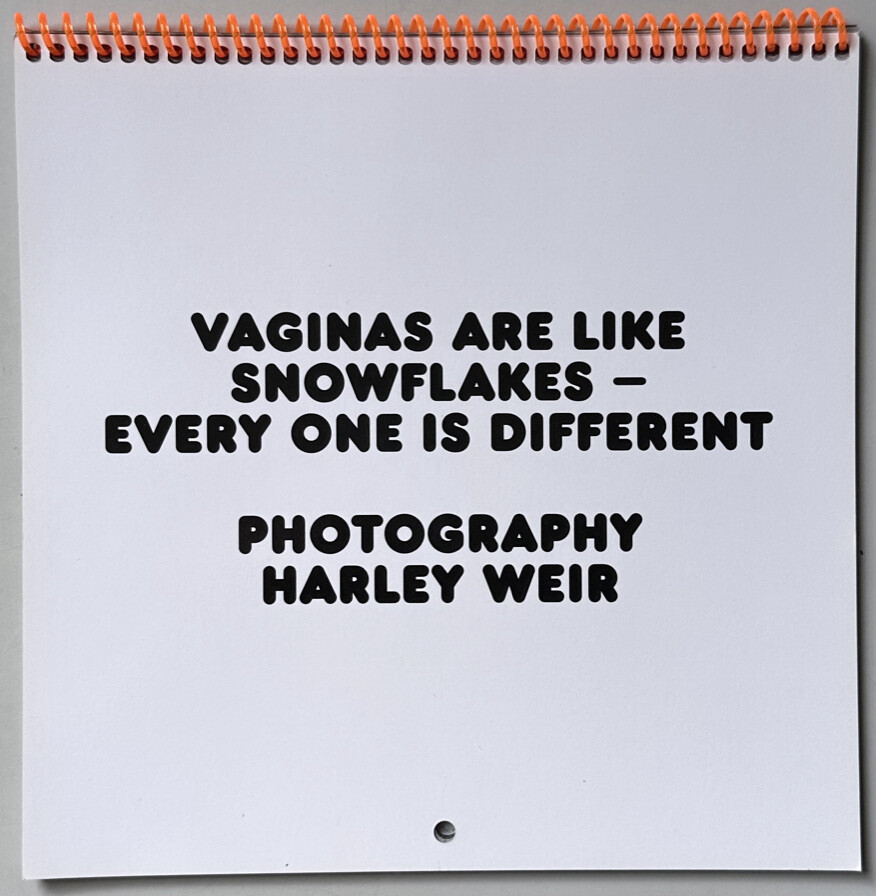 Harley Weir Vaginas Are Like Snowflakes Calendar