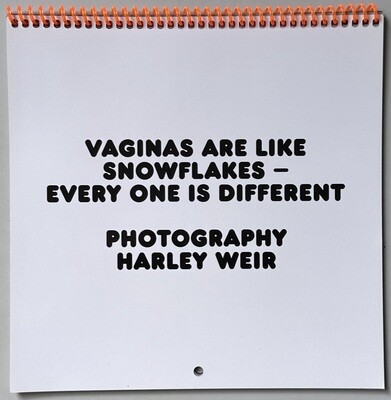 Harley Weir Vaginas Are Like Snowflakes Calendar