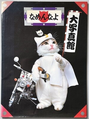 Sorry Cats (Not Sorry)