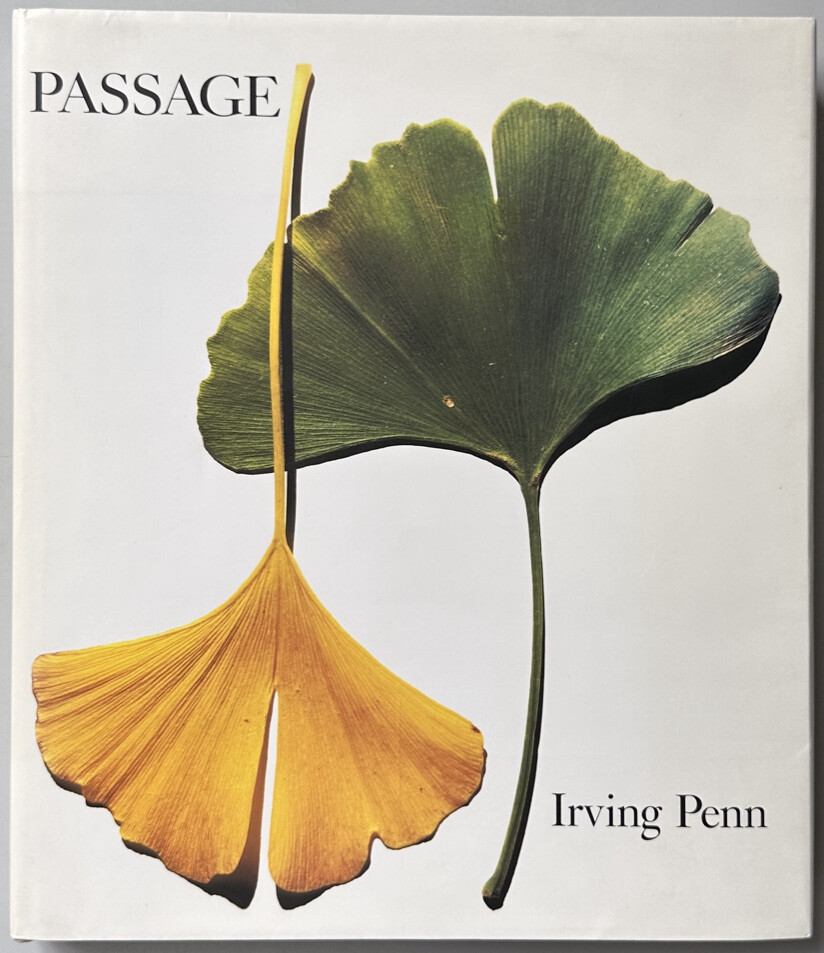 Irving Penn Passage