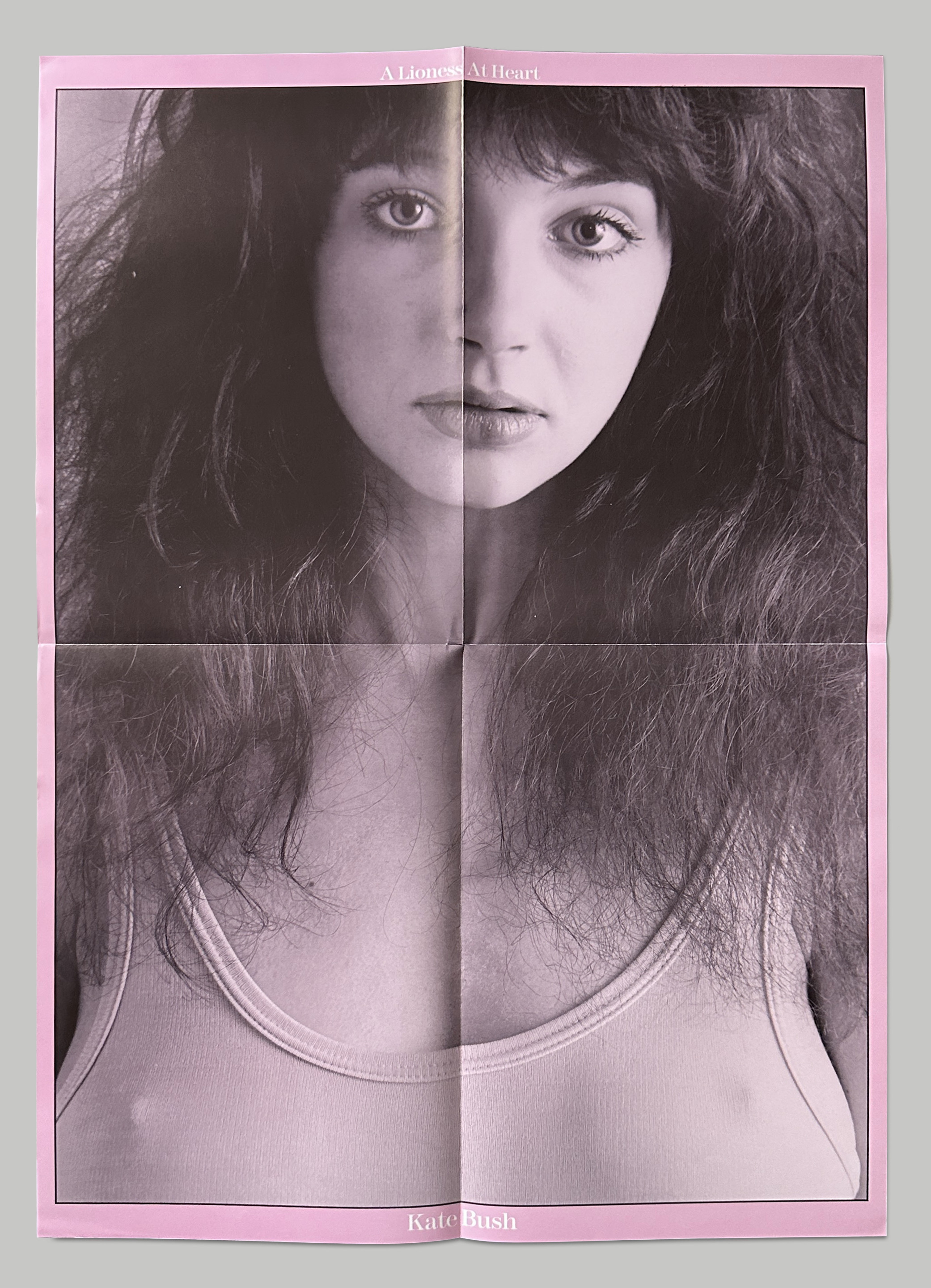 Kate Bush A Lioness At Heart