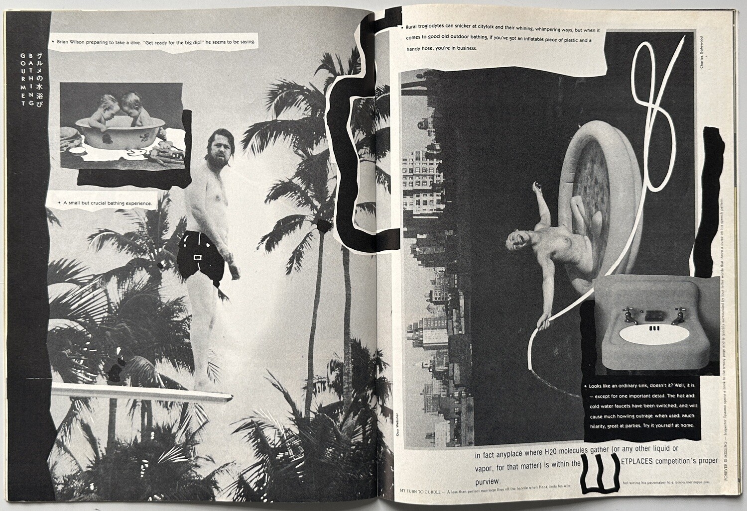 Wet Magazine of Gourmet Bathing and Beyond #33 Vol 6 #3