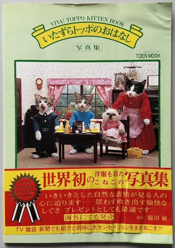 The Story of Mischievous Toppo