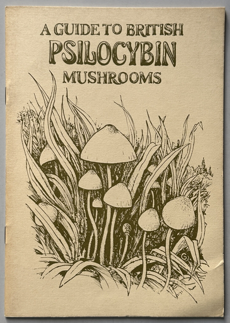 A Guide To British Psilocybin Mushrooms