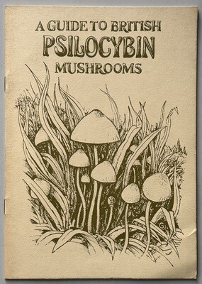A Guide To British Psilocybin Mushrooms