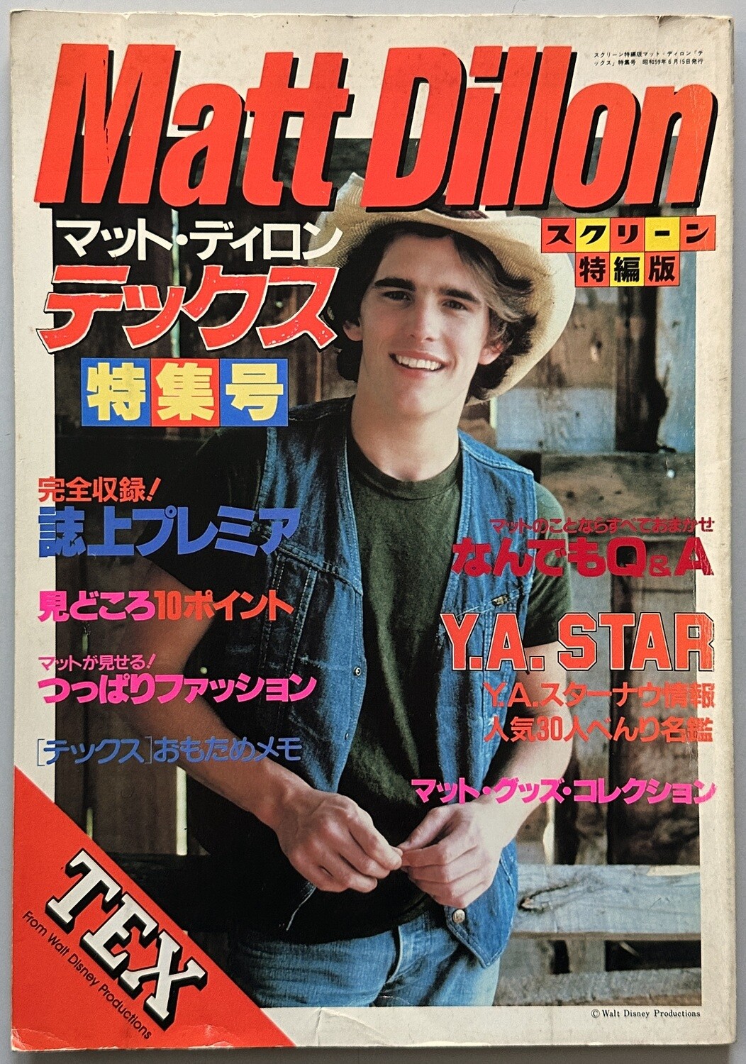 Matt Dillon Screen Special
