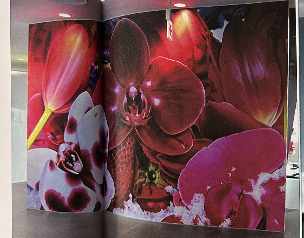 COMME des GARÇONS 1989-2023