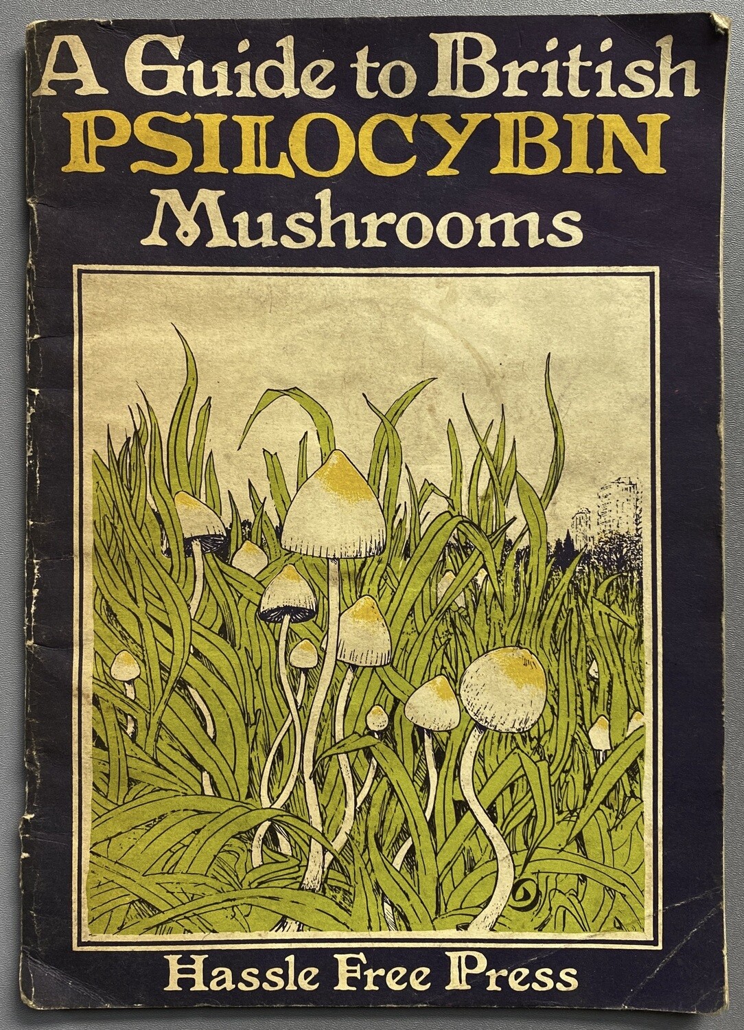 A Guide To British Psilocybin Mushrooms Hassle Free