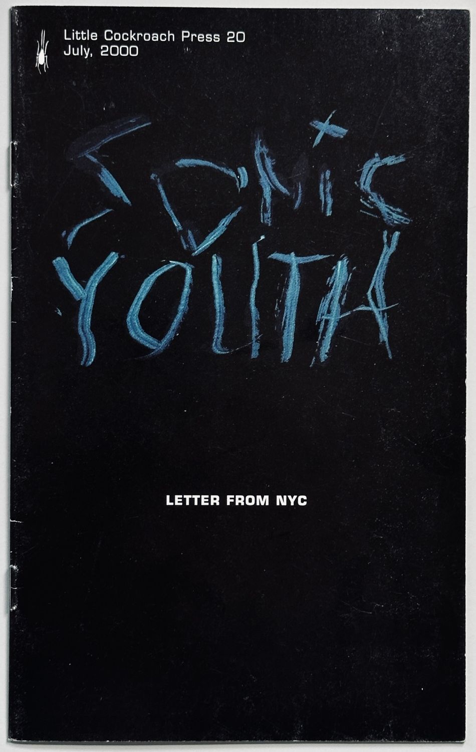 Sonic Youth Letter From NYC