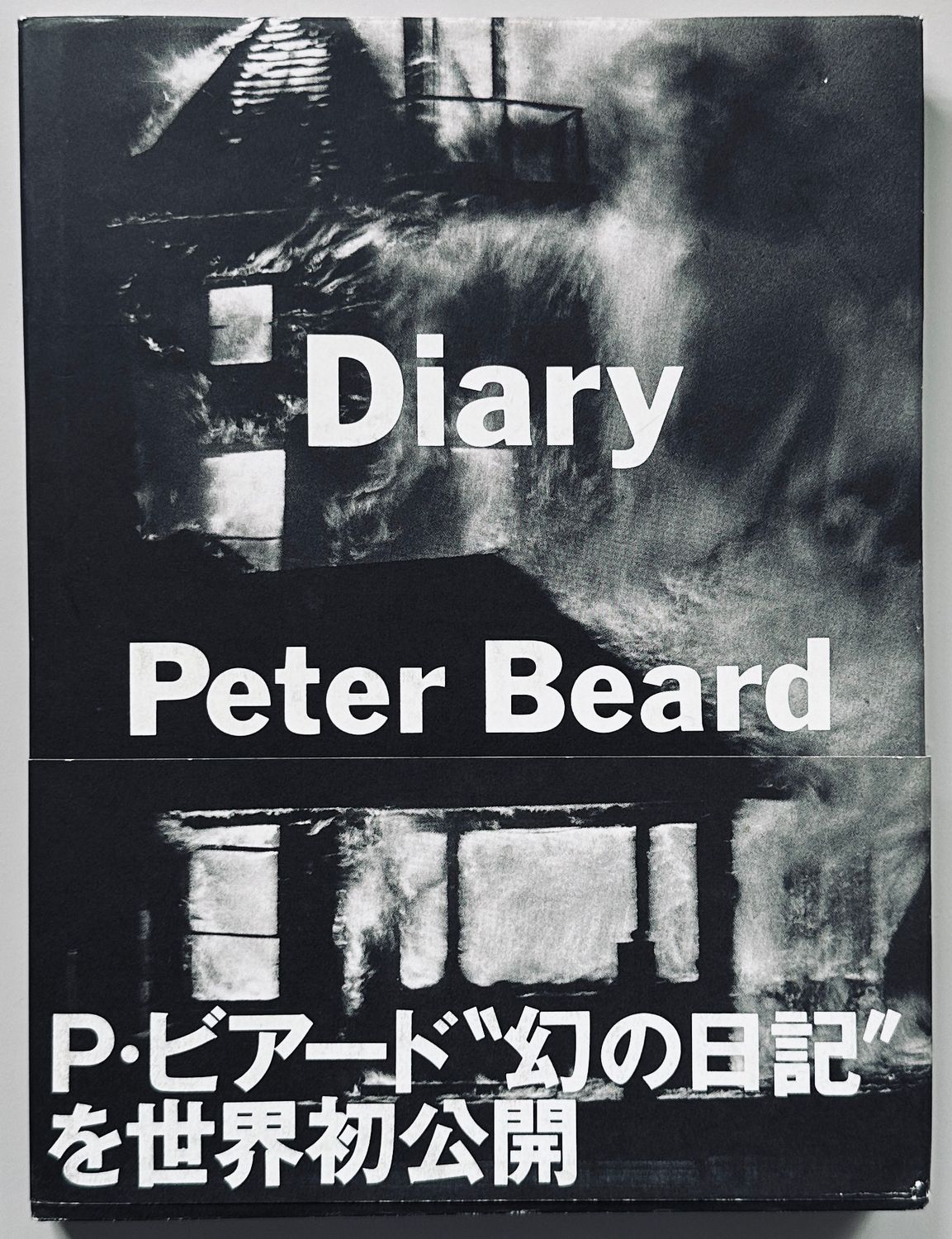 見事な創造力 4373826888.jpg アート写真